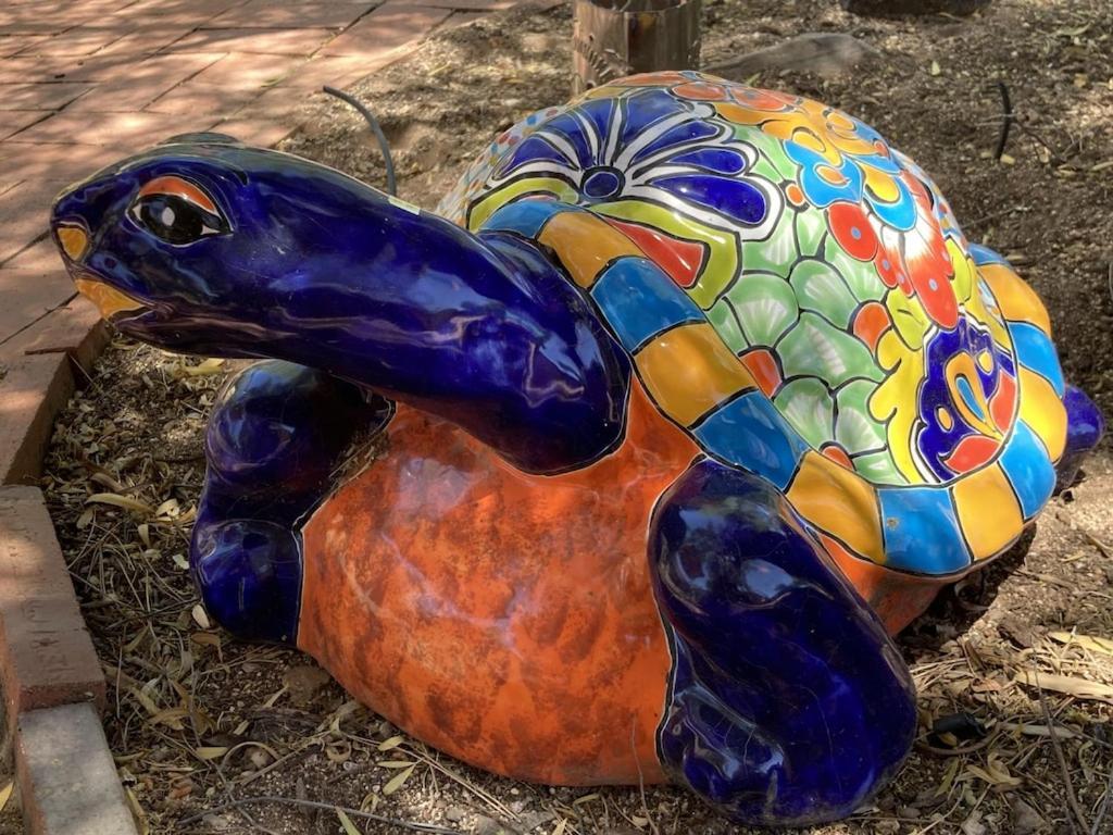 Casa Azul - Cute Centrally Located Adobe With Large Fenced Outdoor Living For Pets And Adults, Non-Smoking Tucson Zewnętrze zdjęcie