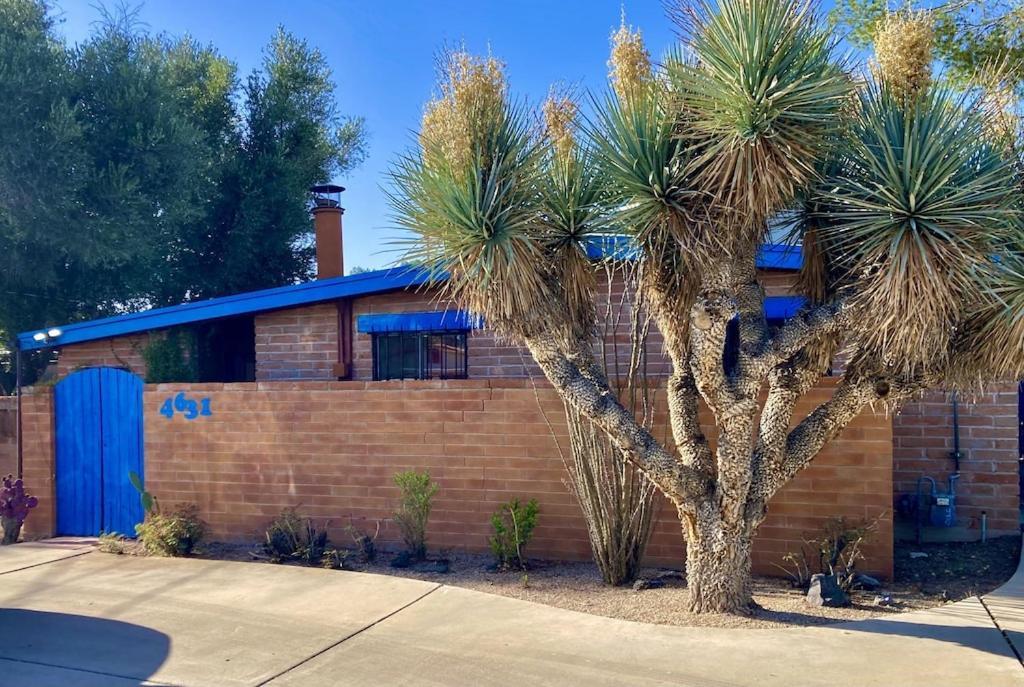 Casa Azul - Cute Centrally Located Adobe With Large Fenced Outdoor Living For Pets And Adults, Non-Smoking Tucson Zewnętrze zdjęcie